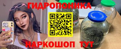 молекула духа Владимир