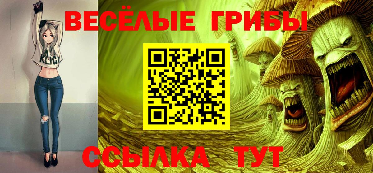 Губкин  Галлюциногенные грибы прущие грибы  Вход с VPN 