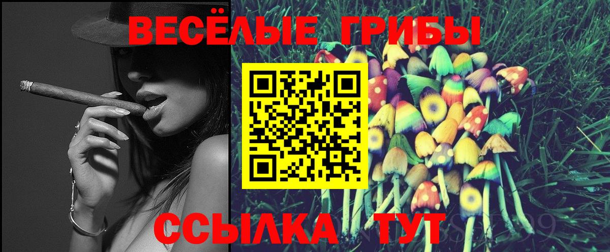 Псилоцибиновые грибы GOLDEN TEACHER Губкин