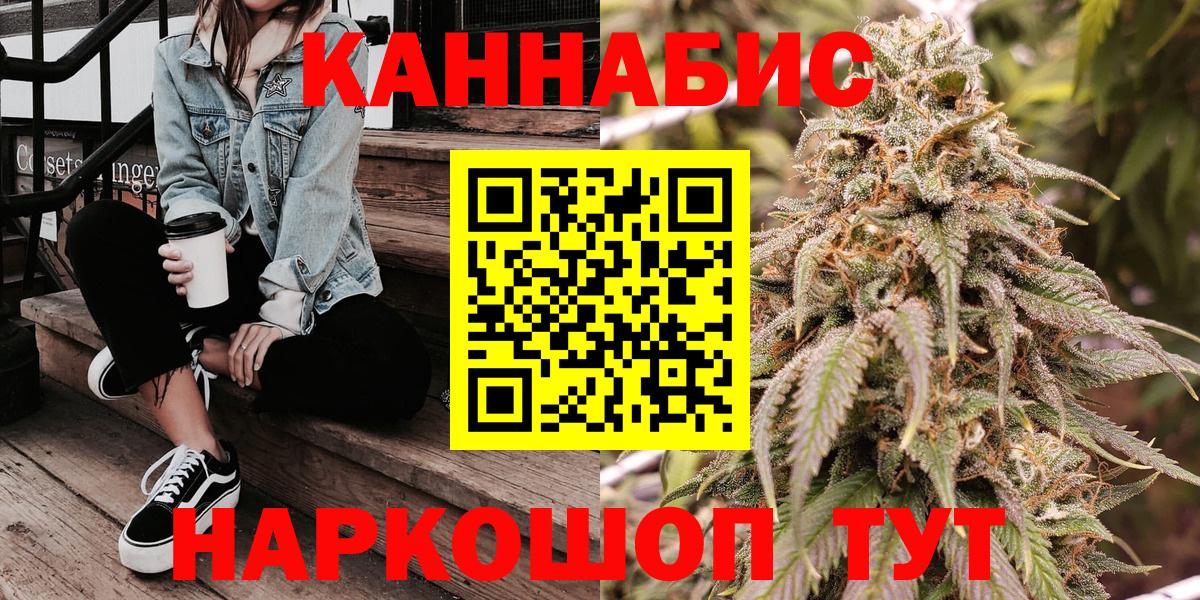 Каннабис индика Губкин